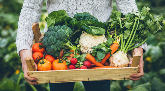 Person Carrying Basket of Root Vegetables