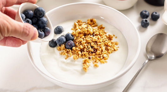 Gut Healthy Homemade Yogurt | Just Björn | B Your Best Blog | Recipe