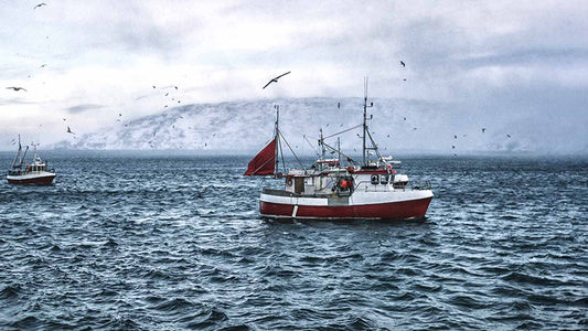 Fishing boats on cold northern waters with snowy mountains, illustrating the marine sourcing story behind Just Björn marine collagen