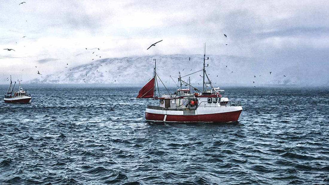 Fishing boats on cold northern waters with snowy mountains, illustrating the marine sourcing story behind Just Björn marine collagen