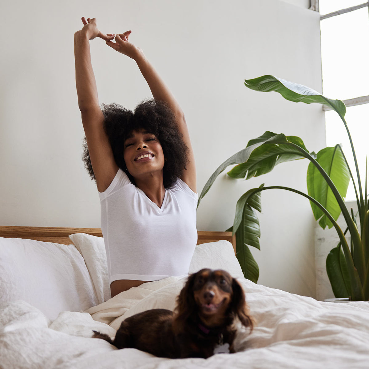 Woman in bed with brown dachsund stretching her arms in the air.